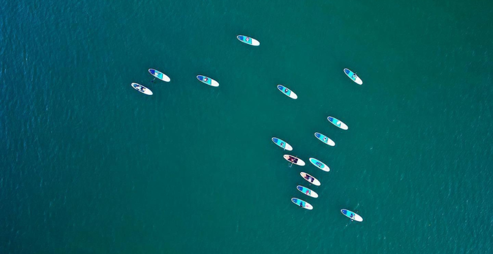 SUP at Royal WIlliam Yard